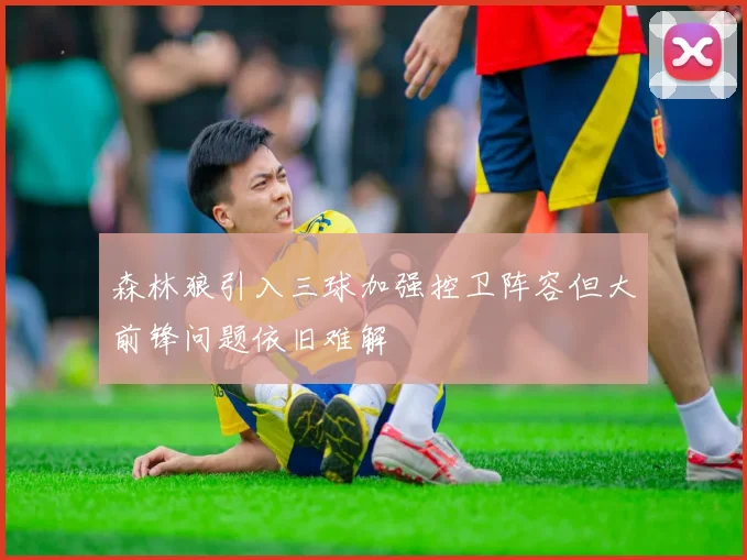 森林狼引入三球加强控卫阵容但大前锋问题依旧难解